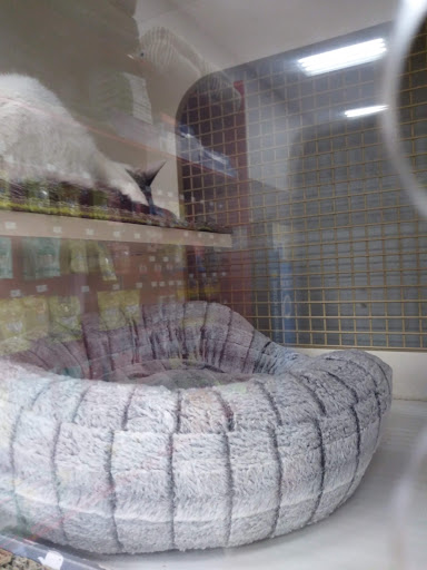 Pet Supply Store «Petco Animal Supplies», reviews and photos, 1815 Newport Blvd b, Costa Mesa, CA 92627, USA