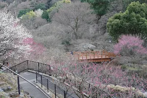 Atami Plum Garden image