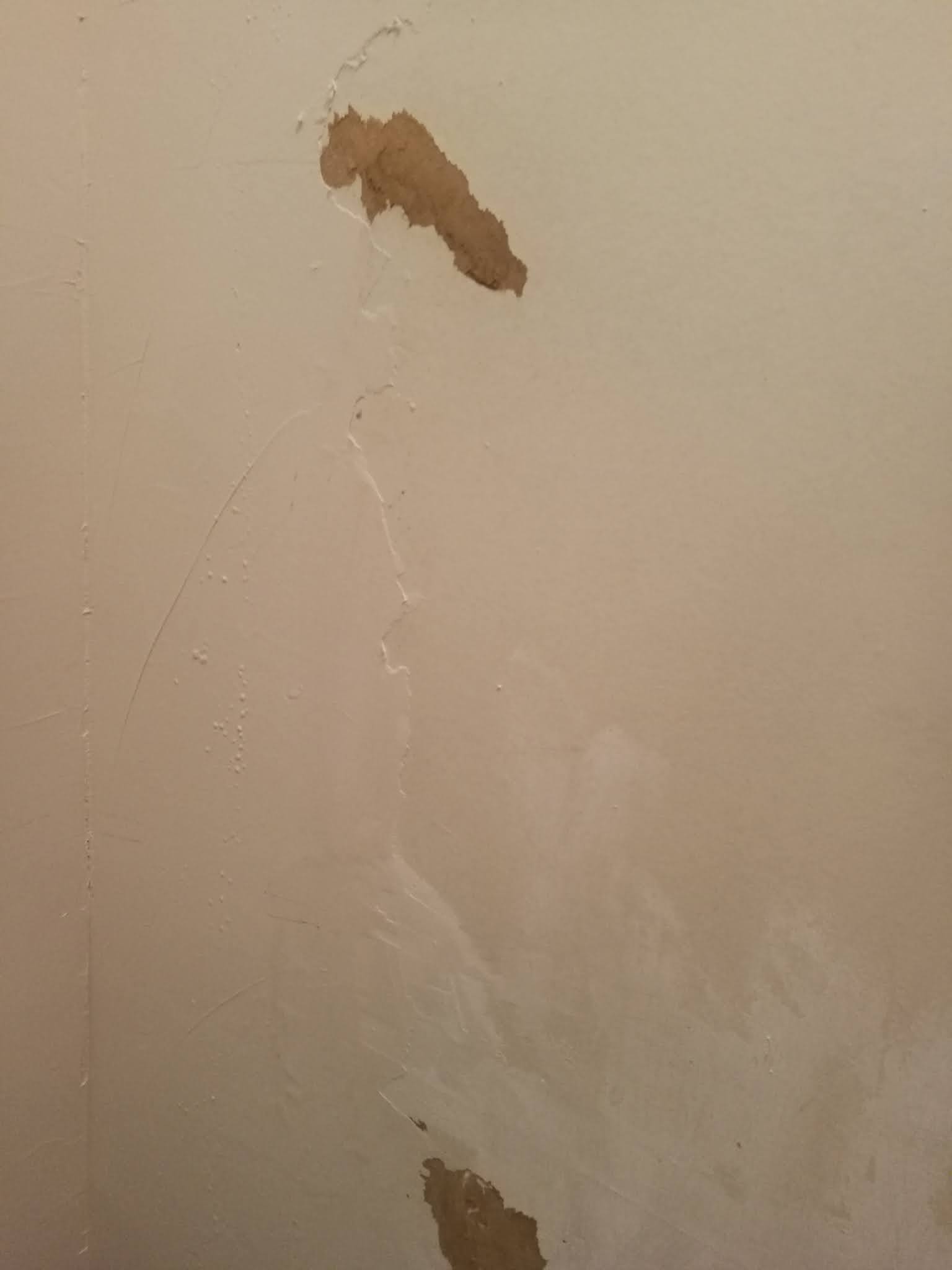 Photo n° 1 de l'avis de Chris. fait le 14/03/2021 à 14:14