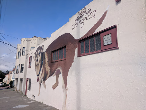 Pet Supply Store «The Animal Connection», reviews and photos, 2550 2550 Judah St & 31st Ave, San Francisco, CA 94122, USA