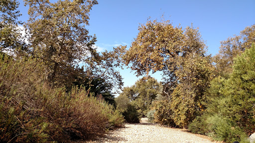 Cemetery «El Camino Memorial Park», reviews and photos, 5600 Carroll Canyon Rd, San Diego, CA 92121, USA