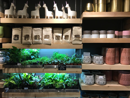 General Store «MOD GEN - A Modern General Store», reviews and photos, 211 N Broadway, Milwaukee, WI 53202, USA