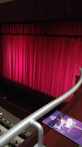 Performing Arts Group «Lincoln Park Performing Arts Center», reviews and photos