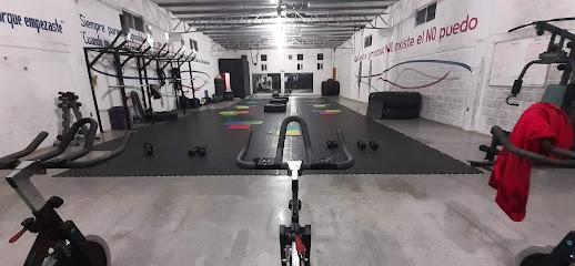 THE ROCK GYM