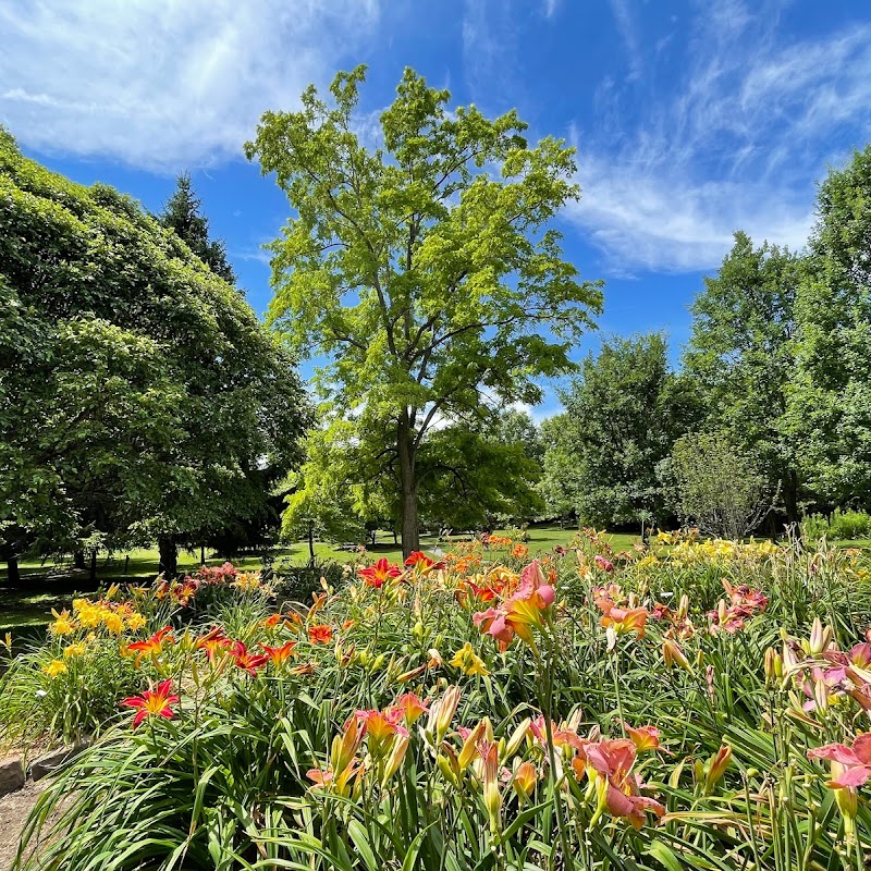 The Webster Arboretum