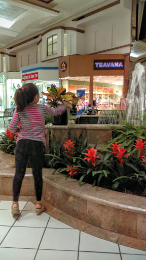 Shopping Mall «Boulevard Mall», reviews and photos, 730 Alberta Dr, Buffalo, NY 14226, USA