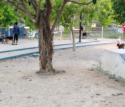 Canino Cebiam Park photo