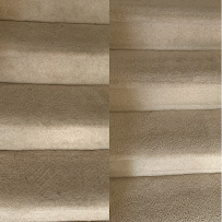 DriGanic Carpet Cleaning - Photo 7 - Car repair in , Philadelphia