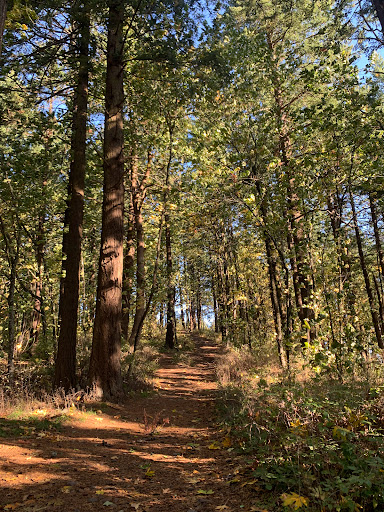 Park «Clinton City Park», reviews and photos, 5576 SE Division St, Portland, OR 97206, USA