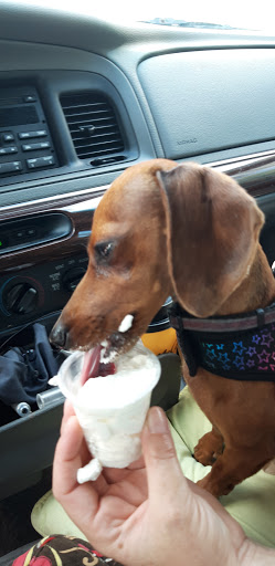 Coffee Shop «Starbucks», reviews and photos, 2424 FL-77, Lynn Haven, FL 32444, USA