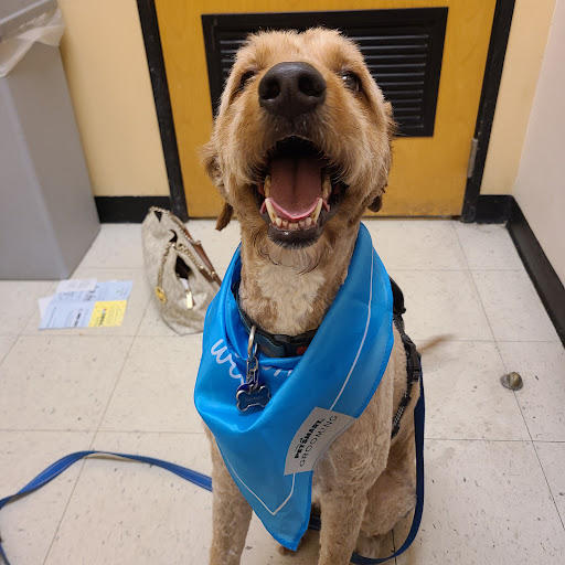 Pet Supply Store «PetSmart», reviews and photos, 3450 N Morrison Rd, Muncie, IN 47304, USA