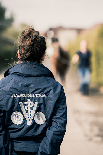 EquiBalance Tierarztpraxis und Rehazentrum Julia Sack unter Neustadt, 