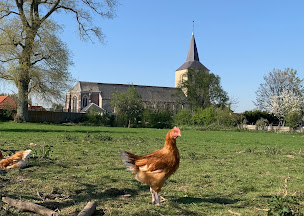 Photo n°3 de Les Volailles Du Beauchamp à Zutkerque ()