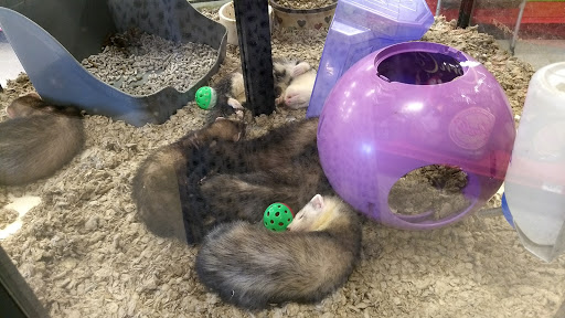 Pet Supply Store «Petco Animal Supplies», reviews and photos, 3731 Gateway Dr, Eau Claire, WI 54701, USA