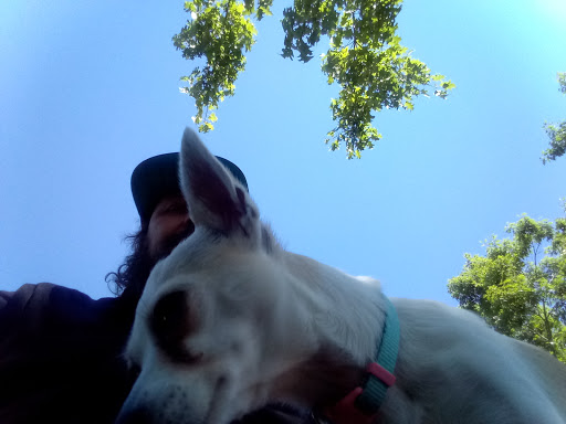 Park «Rocky Butte Park», reviews and photos, NE Rocky Butte Rd, Portland, OR 97220, USA