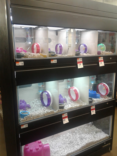 Pet Supply Store «Pet Supplies Plus», reviews and photos, 1030 Main St #10, Waltham, MA 02451, USA