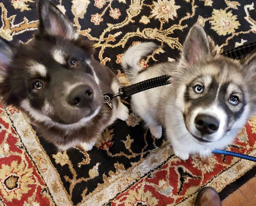 Jeweler «Rohr Jewelers», reviews and photos, 813 N Jefferson St, Milwaukee, WI 53202, USA