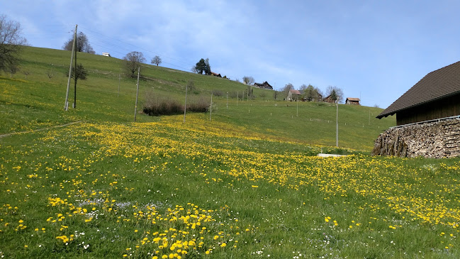 Haus Ziel - Reisebüro