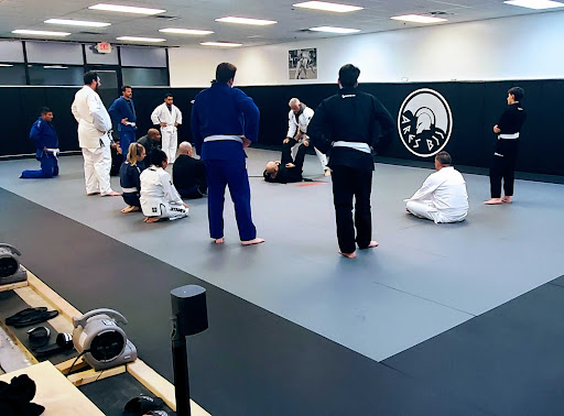 Ares East Mesa BJJ Academy