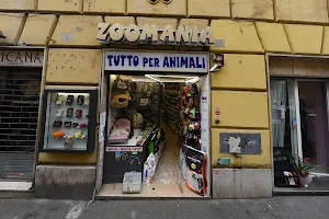 Negozio per animali e Toeletta Zoomania di Cavallini Marco image