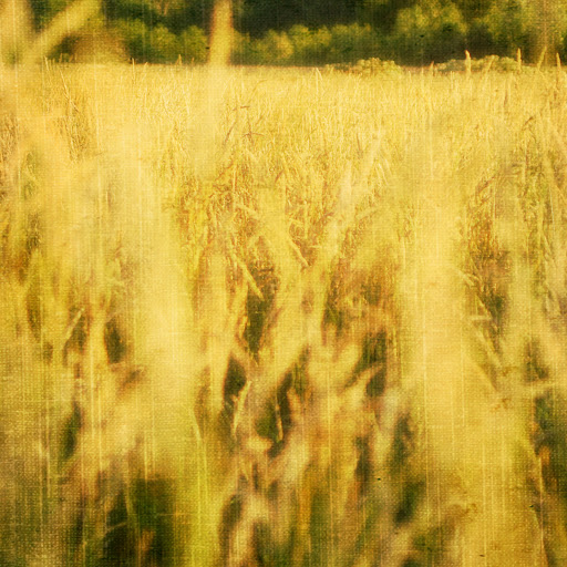 Park «Purgatory Creek Park Pavilion», reviews and photos, 13001 Technology Dr, Eden Prairie, MN 55344, USA