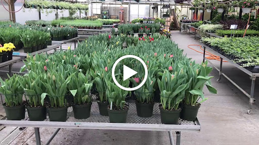 Garden Center «H J Benken Florist & Garden», reviews and photos, 6000 Plainfield Rd, Cincinnati, OH 45213, USA