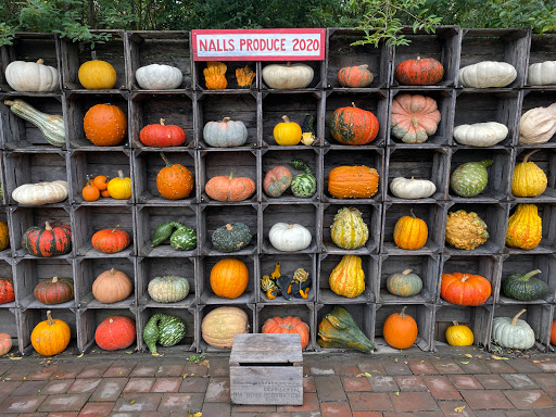 Garden Center «Nalls Produce», reviews and photos, 7310 Beulah St, Alexandria, VA 22315, USA