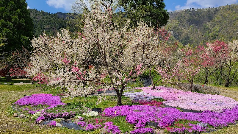 勝原花桃公園