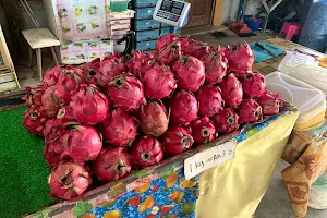 Multi-Rich Pitaya Dragon Fruit Farm image