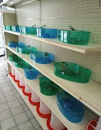 Yulys pet shop - Photo 4 - Car repair in Ocala, FL, Ocala