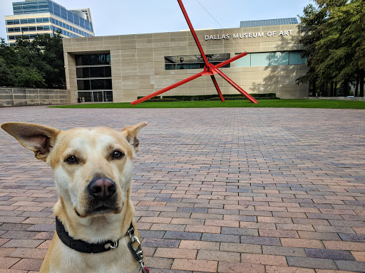 Art Museum «Dallas Museum of Art», reviews and photos, 1717 N Harwood St, Dallas, TX 75201, USA