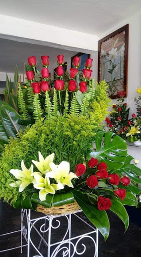 Florería Catedral – Saltillo