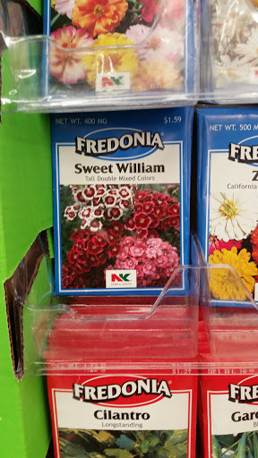 Discount Store «Big Lots», reviews and photos, 940 Schuylkill Mall, Frackville, PA 17931, USA