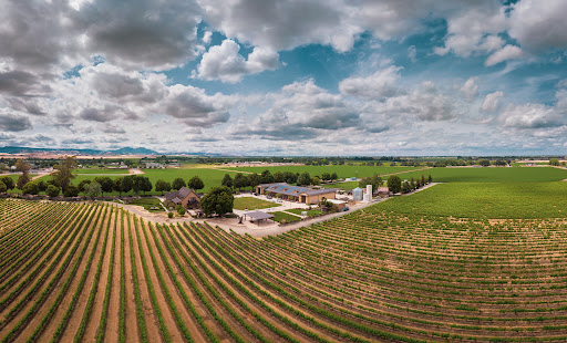 Campos Family Vineyards