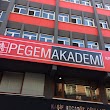 Fatsa Pegem Akademi