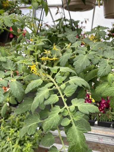 Pet Supply Store «Saybrook Feed & Garden», reviews and photos, 8023 Depot Rd, Ashtabula, OH 44004, USA