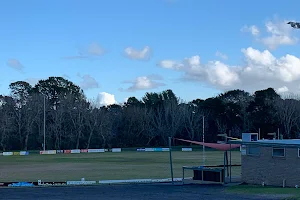 James Drysdale Reserve image