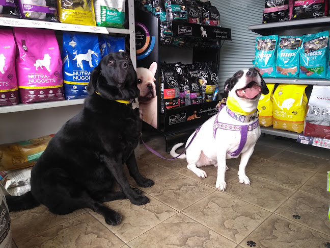 Reseñas de Happy Tails veterinaria - Bogotá - Veterinario