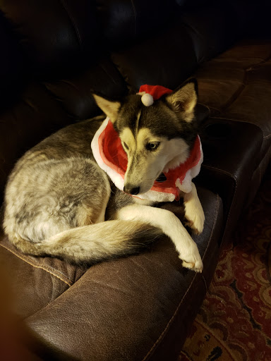 455 Newark Pompton Turnpike, Wayne, NJ 07470, USA