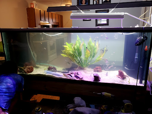 Pet Supply Store «Coastline Pet Supply», reviews and photos, 3530 Northgate Dr, Myrtle Beach, SC 29588, USA