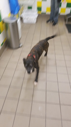 Pet Supply Store «Pet Supplies Plus», reviews and photos, 26230 Hoover Rd, Warren, MI 48089, USA