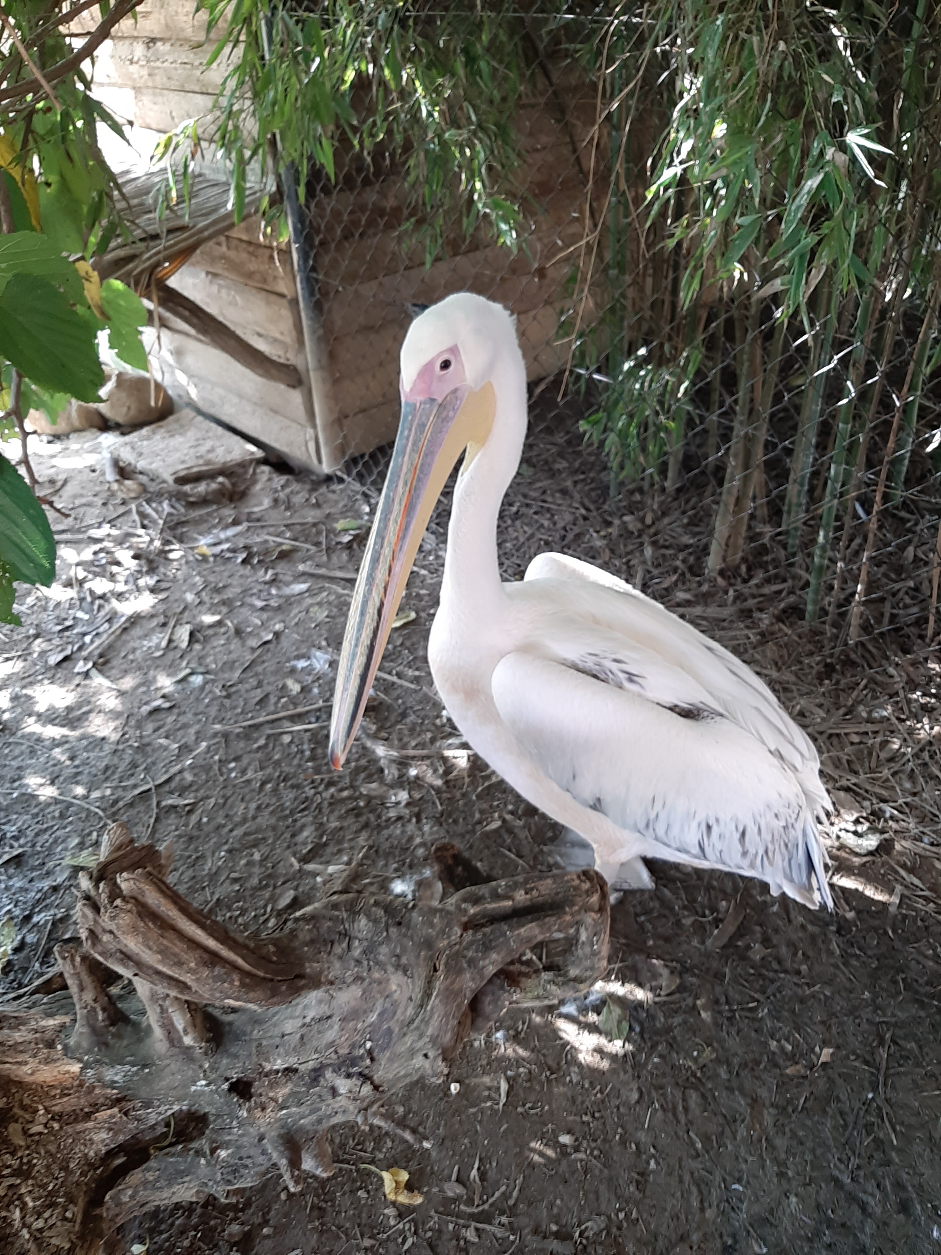 Photo n° 1 de l'avis de Frederic.o fait le 15/08/2019 à 16:36