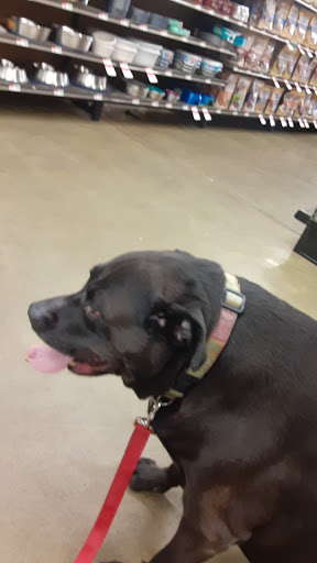 Pet Supply Store «Pet Supplies Plus», reviews and photos, 10 Glenridge Rd #3, Glenville, NY 12302, USA
