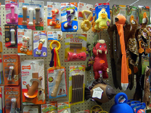 Pet Supply Store «F-M Dog Obedience School», reviews and photos, 1214 Main Ave, Moorhead, MN 56560, USA