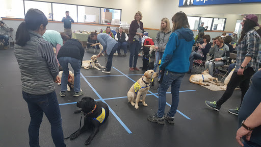 Pet Trainer «Especially For Pets Inc», reviews and photos, 424 Boston Post Rd, Sudbury, MA 01776, USA