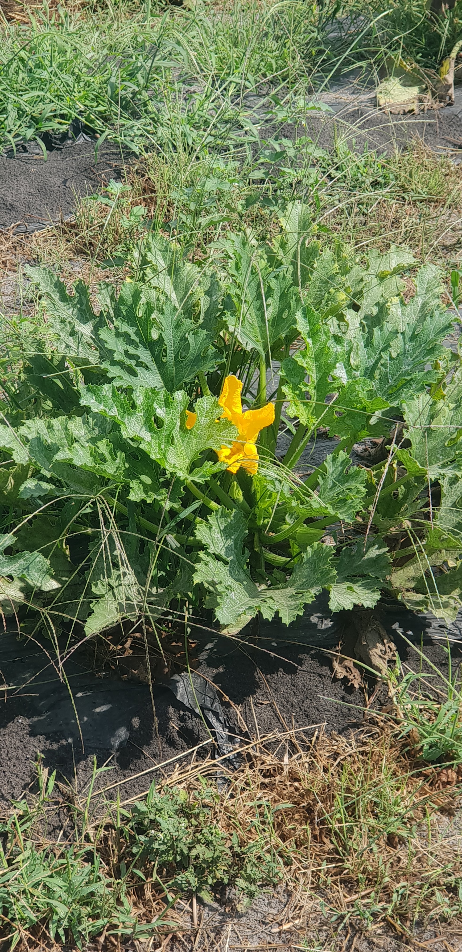 Photo n° 4 de l'avis de Jean.a fait le 12/08/2020 à 12:49