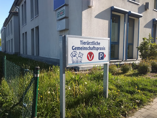 Veterinary practice Quandt and Bracke unter Greifswald, 