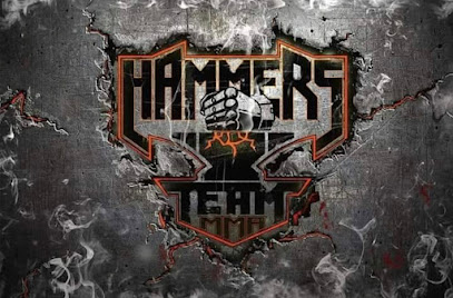 Hammers Team Austria, MMA