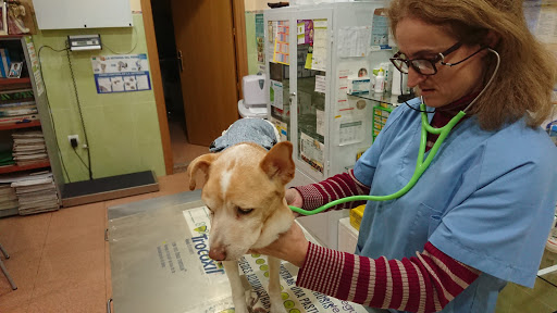 Clínica Veterinaria Cliveal en Almendralejo
