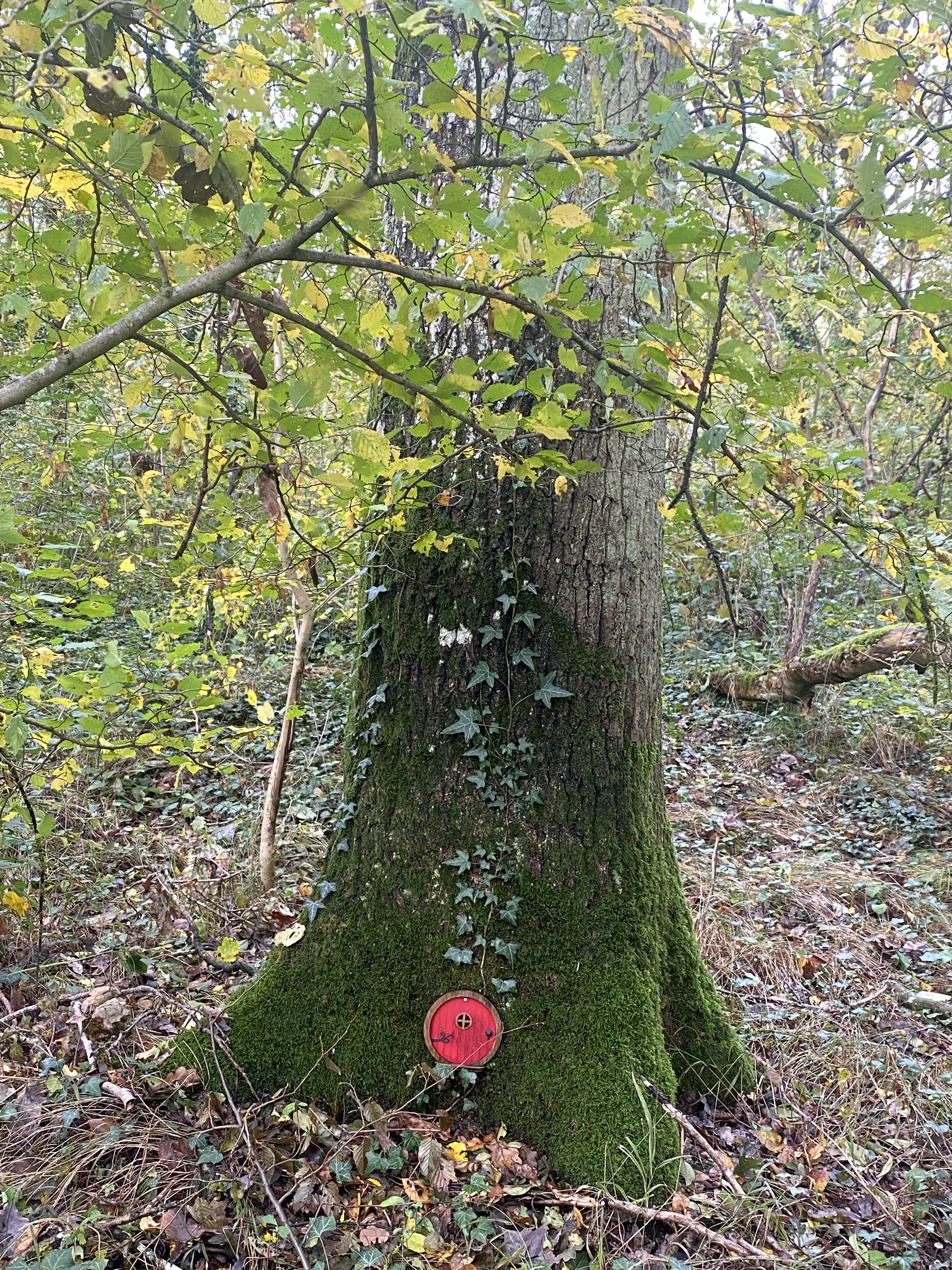 Photo n° 3 de l'avis de Isa.o fait le 15/11/2023 à 11:19